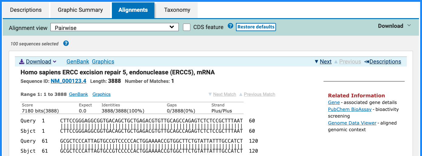 BLAST 结果页：Alignments（比对详情）标签页